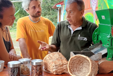 Cafe, aves y senderismo La Pedregosa