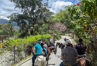 RUTAS ECOLOGICAS A CABALLO REACGEN