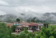 COFFEE TREE BOUTIQUE HOSTEL