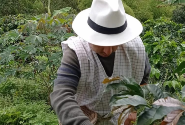 COFFEE TOUR LA ABUNDANCIA