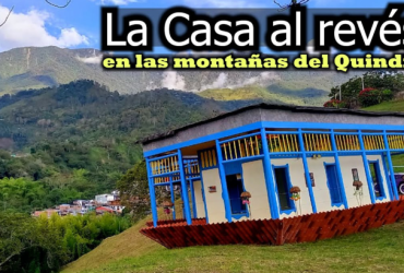 QINTI PATAS ARRIBA